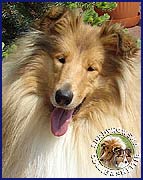Ronja Champion - 5