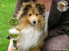 Calinka (Szelcia) Champion - 5