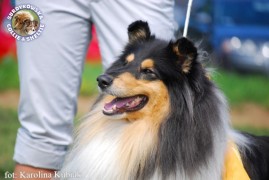 Jagódka 