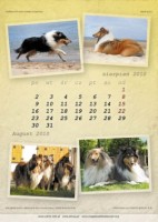Kalendarz collie z Jagódką :) kalendarz collie z Jagódką
