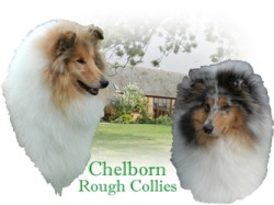 Hodowla Chelborn
