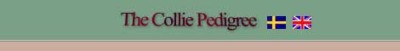 The Collie Pedigree