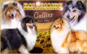 Hodowla Dallinaire