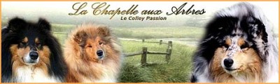 Hodowla De La Chapelle Aux Arbres