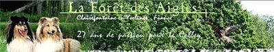Hodowla De La Foret Des Aigles