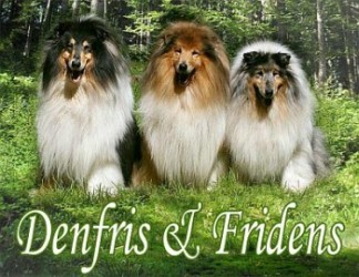 Hodowla Denfris-Fridens