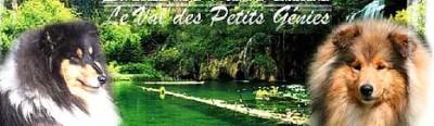 Hodowla Des Petits Genies