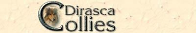 Hodowla Dirasca Collies