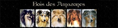 Hodowlam Du Bois Des Amazones