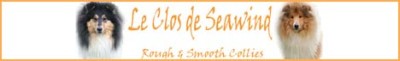 Hodowla Du Clos De Seawind