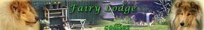 Hodowla Fairy Lodge