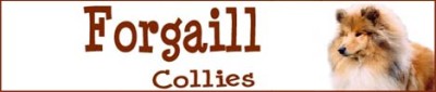 Hodowla Forgaill
