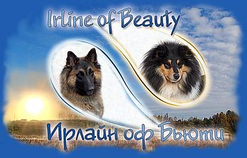 Hodowla Irmine Of Beauty