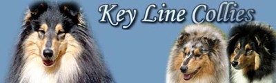Hodowla Keyline