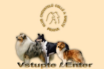 Klub Hodowców Collie i Sheltie