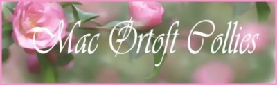 Hodowla Mac Qrtoft