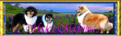 Hodowla Modest Madonna's