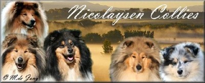 Hodowla Nicolaysens