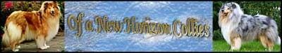 Hodowla Of A New Horizon