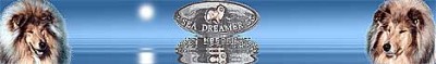 Hodowla Sea Dreamer's