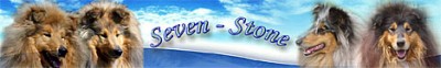 Hodowla Seven Stone