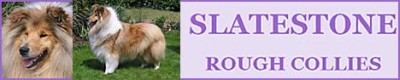 Hodowla Slatestone