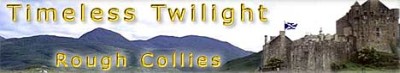Hodowla Timeless Twilight