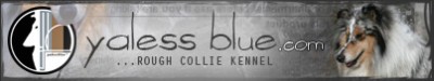 Hodowla Yaless Blue