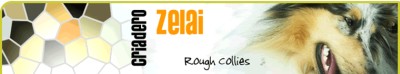 Hodowla Zelai