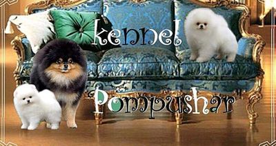 Hodowla Pompushar
