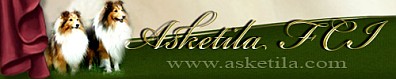 Hodowla Asketila