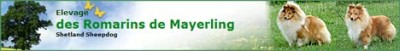Hodowla De Mayerling