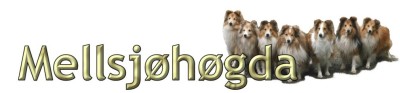Hodowla Mellsjohogda's