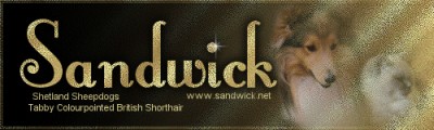 Hodowla Sandwick