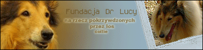 Fundacja Dr Lucy