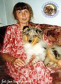 Owczarek Szkocki Collie - Mały Ileyda ICE BLUE DEVOTED Mały Ileyda BLUE DEVODET