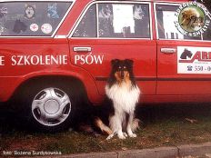 Mercia 2 lata 1-5 miesiąca - gocinnie na wystawie Sopot 2001