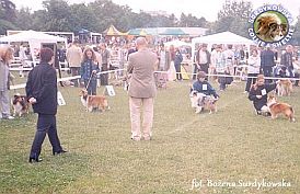 Boni - wystawa Olsztyn 16.06.2002