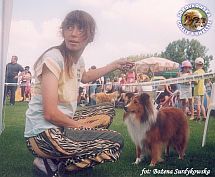 Owczarek Szetlandzki Sheltie - BONI Boni - wystawa Gdynia 20.07.2003