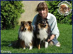Owczarki Szetlandzkie Sheltie - Celinka i Scott Celinka ze Scottem i Bożeną