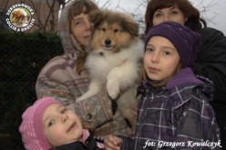 Xerxes 3 miesiące z hodowczynią i z rodzinką