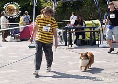 Boni - wystawa Sopot 11.08.2013