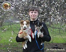 FOLLOWING LOVE PRINCESS & GORDIAS WILLOW OF MYSTERY 