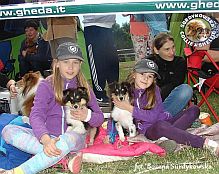 Owczarki Szetlandzkie Sheltie - Lenka i Gordi na socjalizacji wśród dzieci :) Lenka i Gordi - wystawa Gdynia 22.06.2014