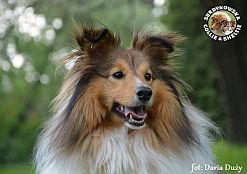 ZORKO SWEET FRENDLY LITTLE BOY - Zorko
