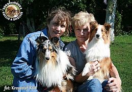Owczarki Szetlandzkie Sheltie - Princuś i Tosia :) Princuś i Tosia