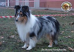 Princuś