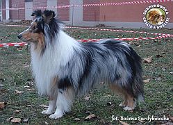 Princuś