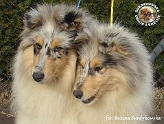 Dantes i Dalia