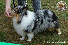 Princuś